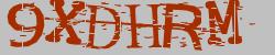 Retype the CAPTCHA code from the image