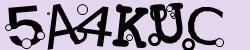 Retype the CAPTCHA code from the image